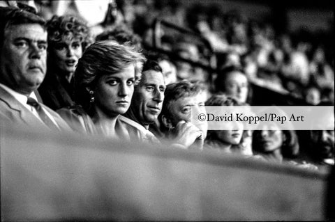 Diana at Wembley Stadium - STARE